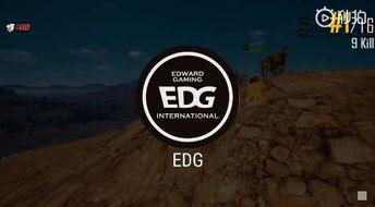 ag的最新爆料复活赛,复活赛风云再起,精彩对决即将上演! 第1张 ag的最新爆料复活赛,复活赛风云再起,精彩对决即将上演! 第1张