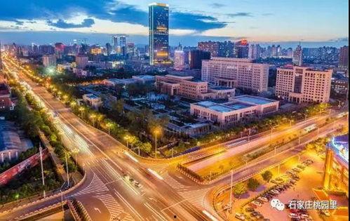 石家庄桃园最新爆料,揭秘神秘爆料背后的真相  第2张