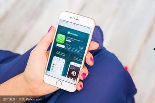 过错手机在线观看,揭秘网络时代的隐私危机与责任归属 第3张 过错手机在线观看,揭秘网络时代的隐私危机与责任归属 第3张